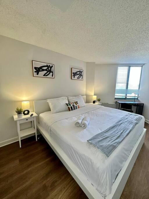 Incredible Apartment With Rooftop In Pentagon City Arlington Ngoại thất bức ảnh