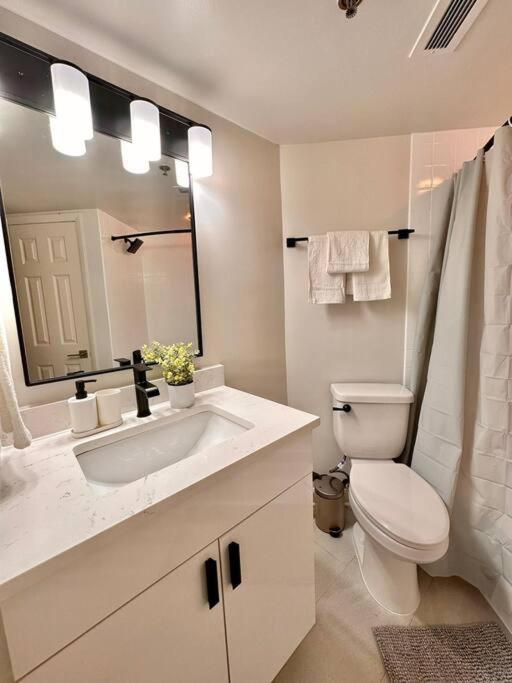 Incredible Apartment With Rooftop In Pentagon City Arlington Ngoại thất bức ảnh