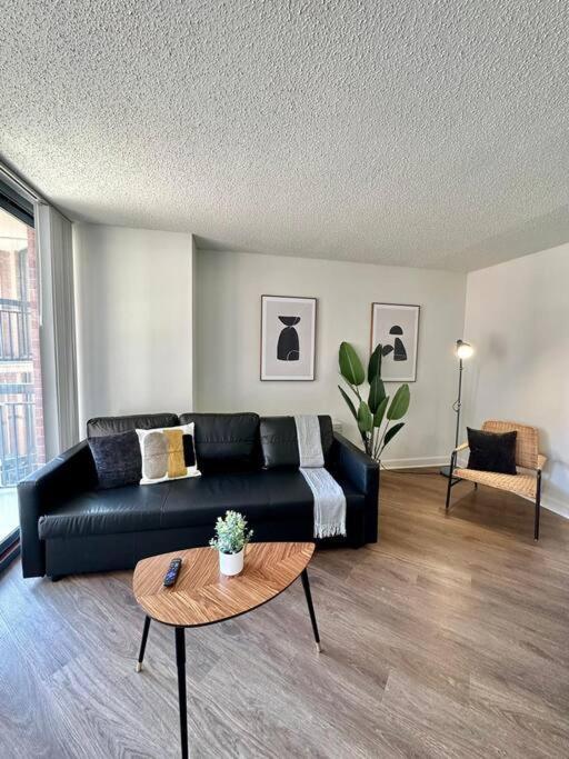 Incredible Apartment With Rooftop In Pentagon City Arlington Ngoại thất bức ảnh